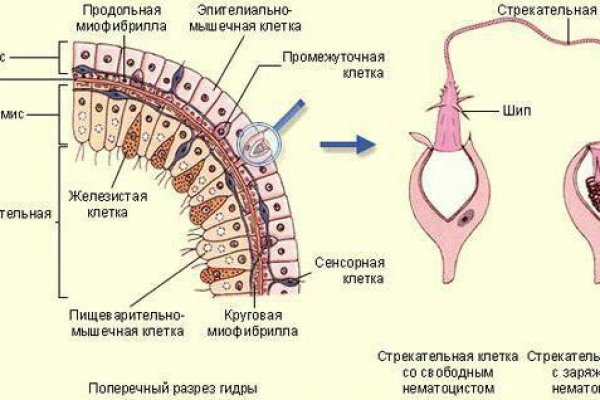 Что будет если зайти в кракен