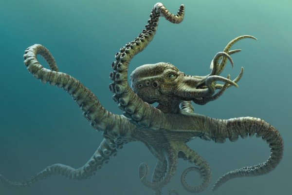 Kraken зеркало